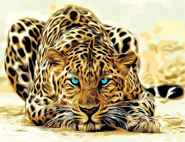 Paint By Number Set Leopard 40x50cm