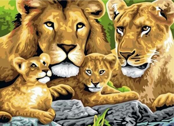 Paint By Number Set Lions 40x50cm