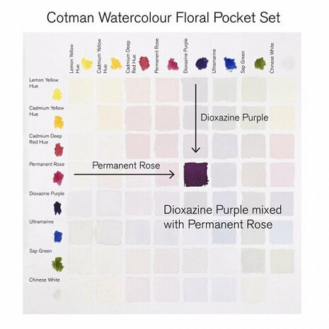 Winsor & Newton Cotman Floral Pocket Box Aquarelset 8 napjes 5