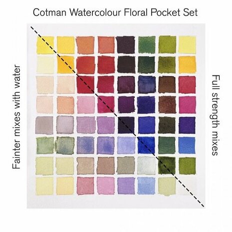 Winsor & Newton Cotman Floral Pocket Box Aquarelset 8 napjes 6