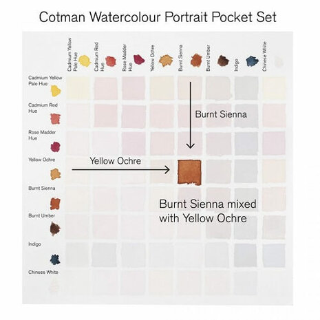 Winsor & Newton Cotman Portrait Pocket Box Aquarelset 8 napjes 6