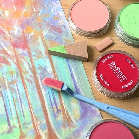 PanPastel Light & Medium Set 25 Pans D