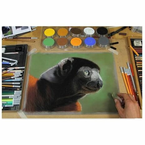 PanPastel Jason Morgan Wildlife Set 10 Pans E
