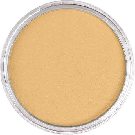 PanPastel Rich Gold 911.5 9ml B