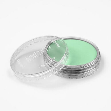 PanPastel Pearlescent Green 956.5 9ml A