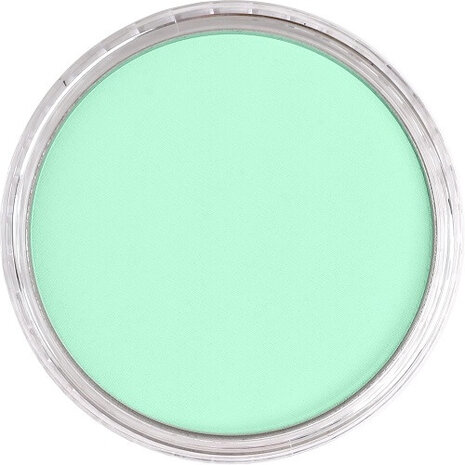 PanPastel Pearlescent Green 956.5 9ml B