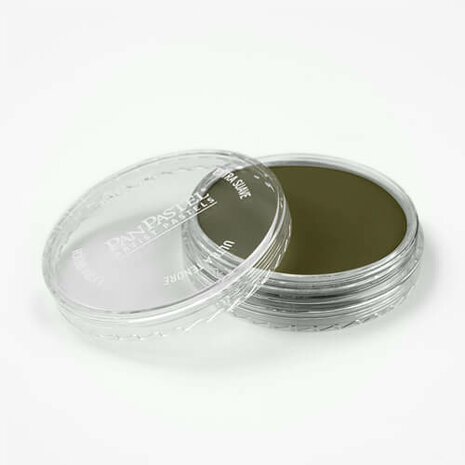 PanPastel Hansa Yellow Extra Dark 220.1 9ml A
