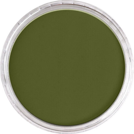 PanPastel Hansa Yellow Extra Dark 220.1 9ml B