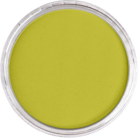 PanPastel Hansa Yellow Shade 220.3 9ml B