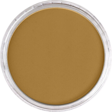 PanPastel Yellow Oxide Shade 270.3 9ml B