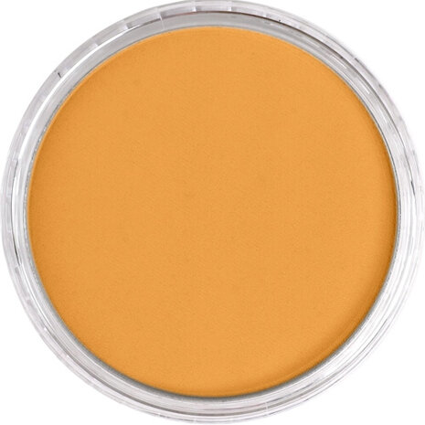 PanPastel Yellow Oxide 270.5 9ml B