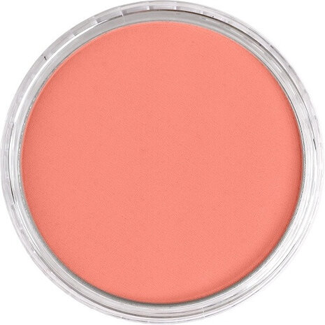 PanPastel Vermilion Medium 310.6 9ml B