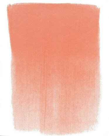 PanPastel Vermilion Medium 310.6 9ml C