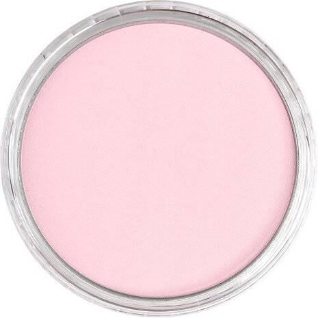 PanPastel Permanent Red Tint 340.8 9ml B