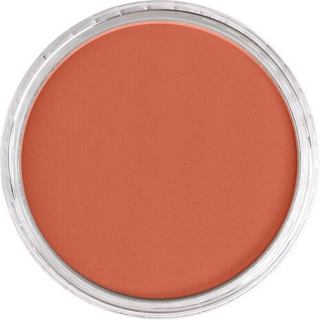 PanPastel Red Iron Oxide Light 380.7 9ml B