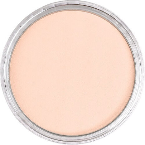 PanPastel Red Iron Oxide Tint 380.8 9ml B