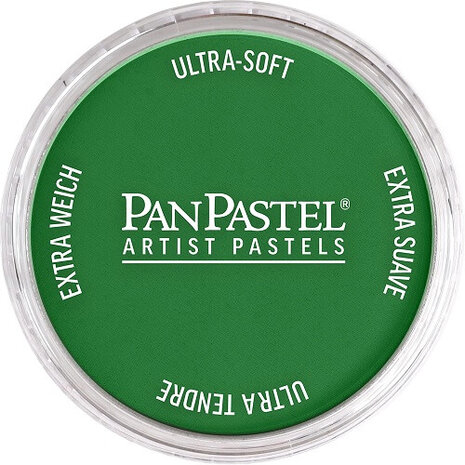 PanPastel Permanent Green Shade 640.3 9ml