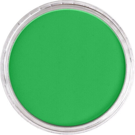 PanPastel Permanent Green 640.5 9ml B