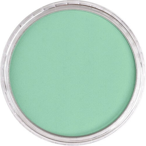 PanPastel Permanent Green Light 640.7 9ml B
