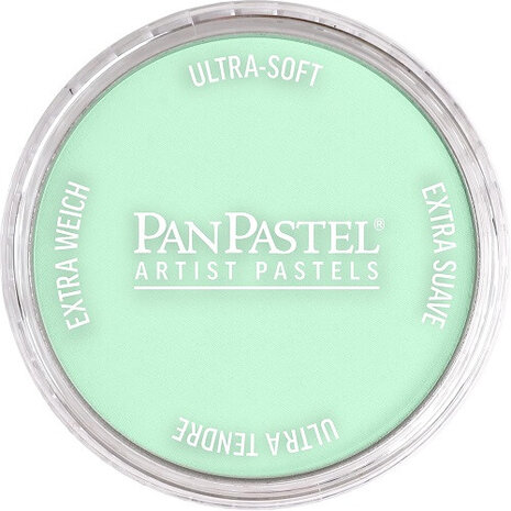 PanPastel Permanent Green Tint 640.8 9ml