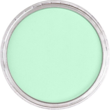 PanPastel Permanent Green Tint 640.8 9ml B
