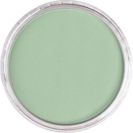 PanPastel Chromium Oxide Green Tint 660.8 9ml B