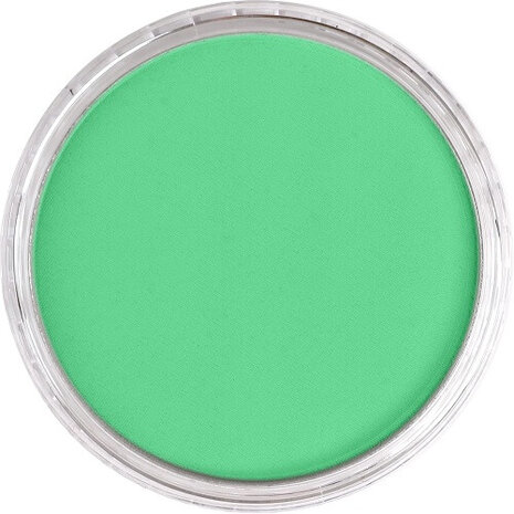 PanPastel Blue Green Light 670.7 9ml B