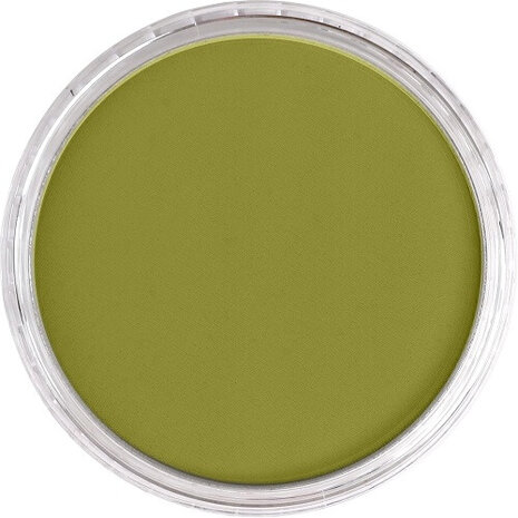PanPastel Bright Yellow Green Shade 680.3 9ml B