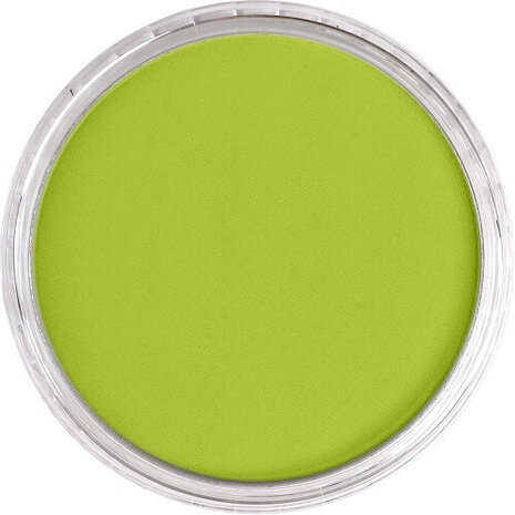 PanPastel Bright Yellow Green 680.5 9ml B