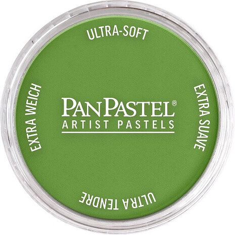 PanPastel Yellow Green Shade 690.3 9ml