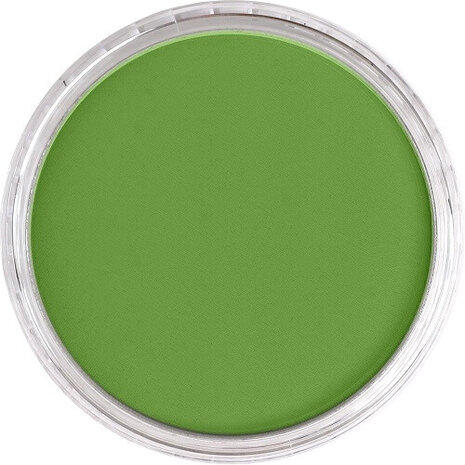 PanPastel Yellow Green Shade 690.3 9ml B