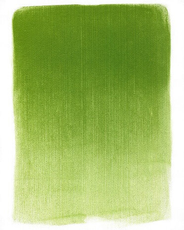 PanPastel Yellow Green Shade 690.3 9ml C