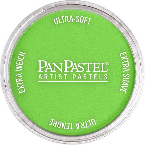 PanPastel Yellow Green 690.5 9ml