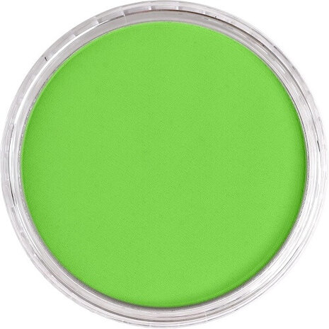 PanPastel Yellow Green 690.5 9ml B