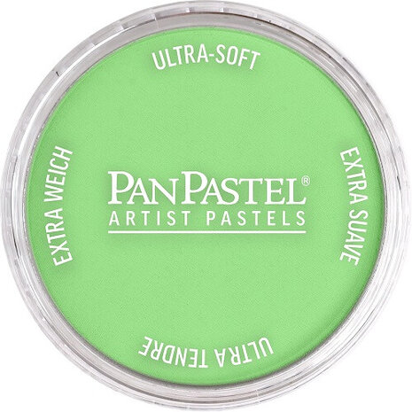 PanPastel Yellow Green Light 690.7 9ml