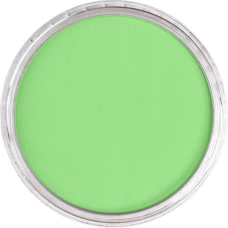PanPastel Yellow Green Light 690.7 9ml B