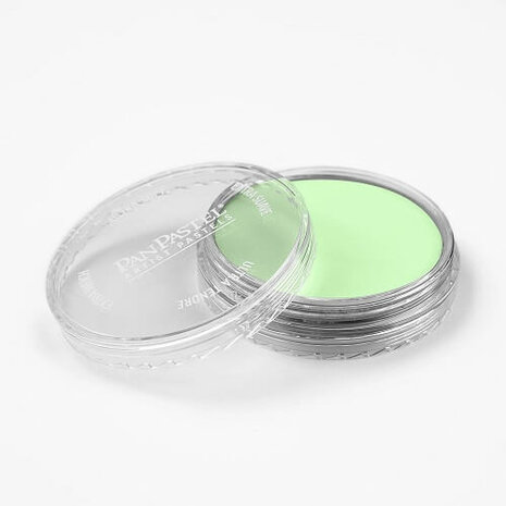 PanPastel Yellow Green Tint 690.8 9ml A