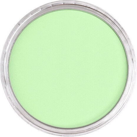 PanPastel Yellow Green Tint 690.8 9ml B