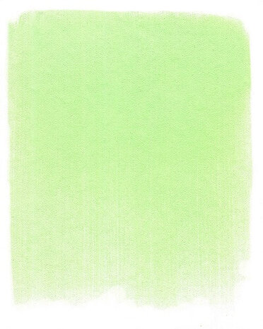 PanPastel Yellow Green Tint 690.8 9ml C