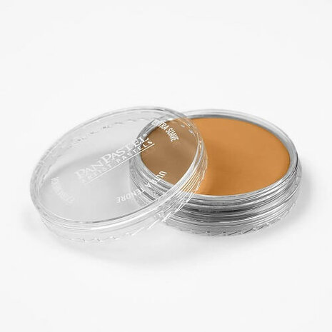 PanPastel Raw Sienna 710.5 9ml A