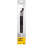 Winsor & Newton Galeria Acrylverf Olieverf Penselen Set 2 Winsor & Newton Galeria Acrylverf Olieverf Penselen Set 2
