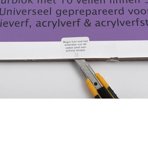 https://www.canvas-schildersdoeken.nl/Files/10/304000/304659/ProductPhotos/Large/1784543802.jpg