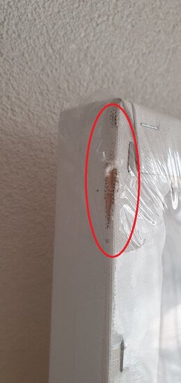 https://www.canvas-schildersdoeken.nl/Files/10/304000/304659/ProductPhotos/Large/2009825679.jpg