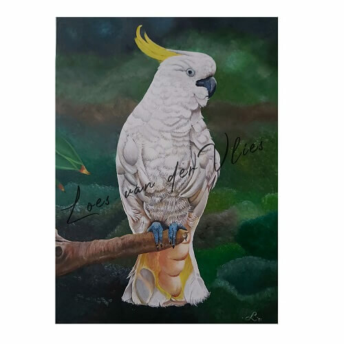 https://www.canvas-schildersdoeken.nl/Files/10/304000/304659/ProductPhotos/Large/2415525695.jpg