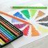 Faber-Castell Polychromos Kleurpotloden Set 12 stuks 4